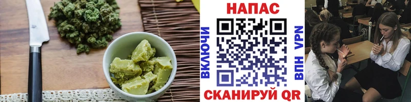 МЕГА как войти  Сурск  Canna-Cookies конопля  где купить наркоту 