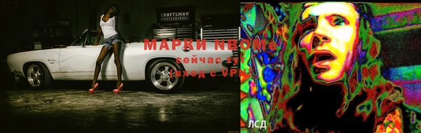 стаф Порхов