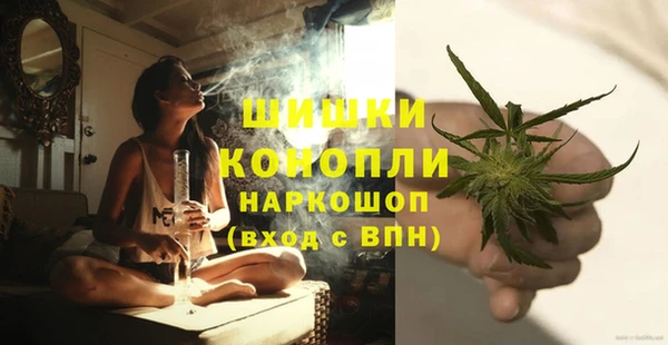 стаф Порхов