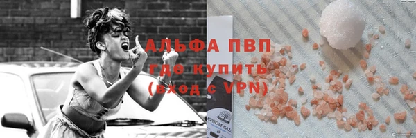 стаф Порхов