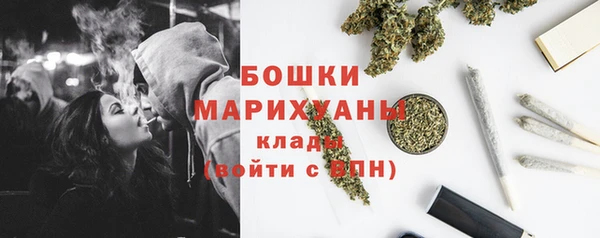 ПСИЛОЦИБИНОВЫЕ ГРИБЫ Магас
