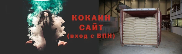 ГАЛЛЮЦИНОГЕННЫЕ ГРИБЫ Почеп