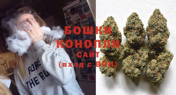 ПСИЛОЦИБИНОВЫЕ ГРИБЫ Магас