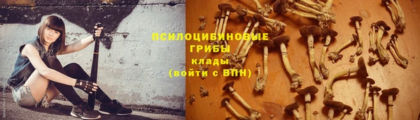 эйфоретик Мегион