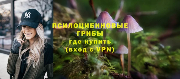 a pvp Медногорск