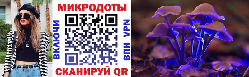 купить  цена  Сурск  mega вход  Галлюциногенные грибы Psilocybine cubensis 